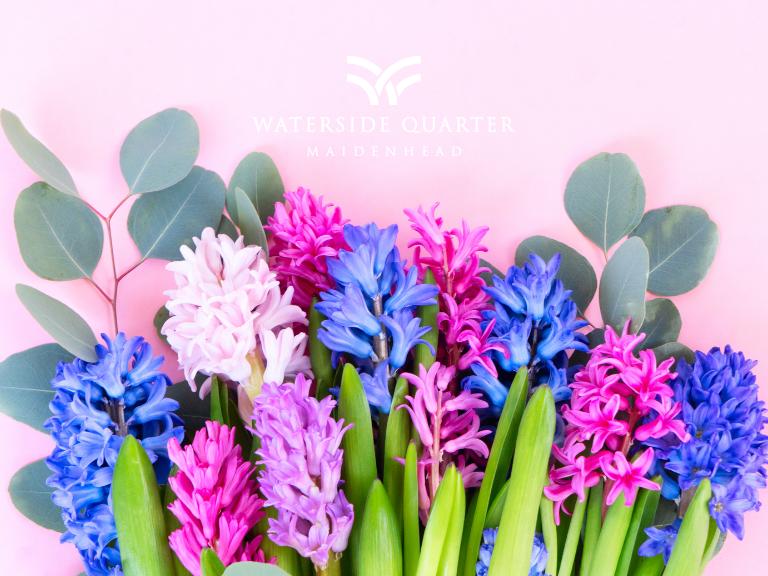 Celebrate Mother’s Day at Waterside Quarter